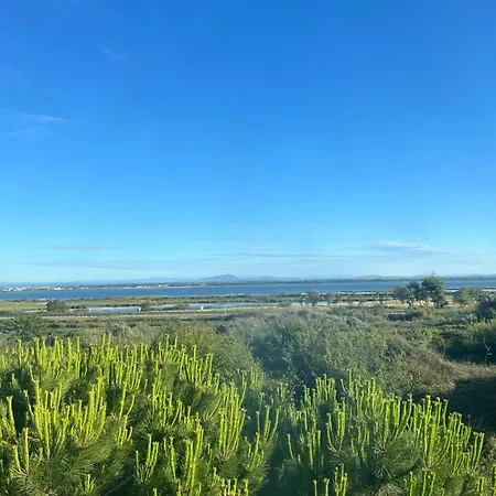 Apartment Traversant Vue Et Etang *